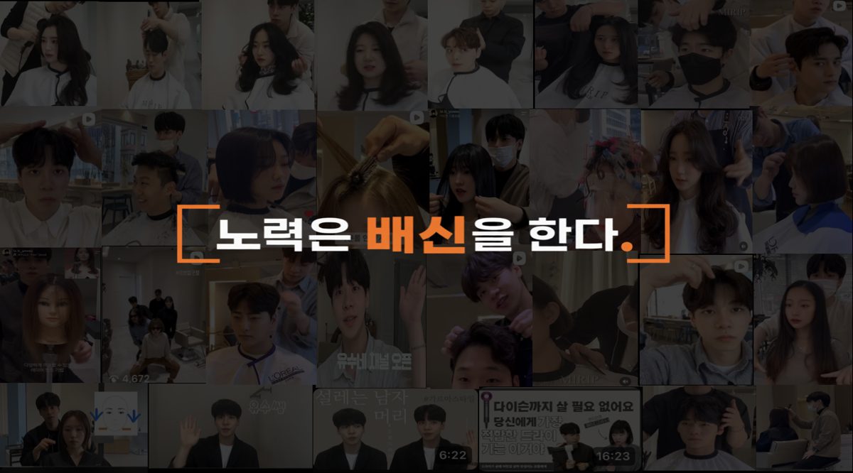 노력은 배신을 한다